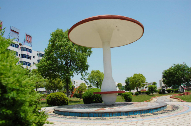 随州一中二中哪家强,随州一中在湖北高中排名