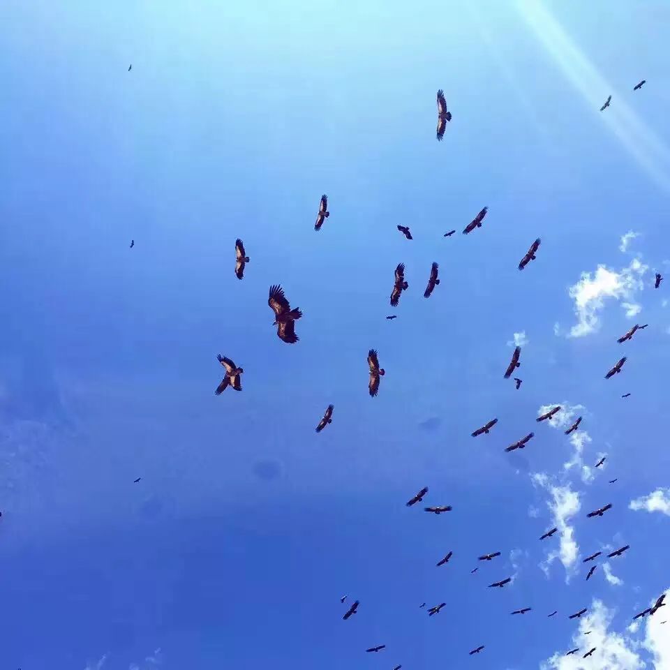 抖音做完酒店,又开始做旅行社“*梦春**”