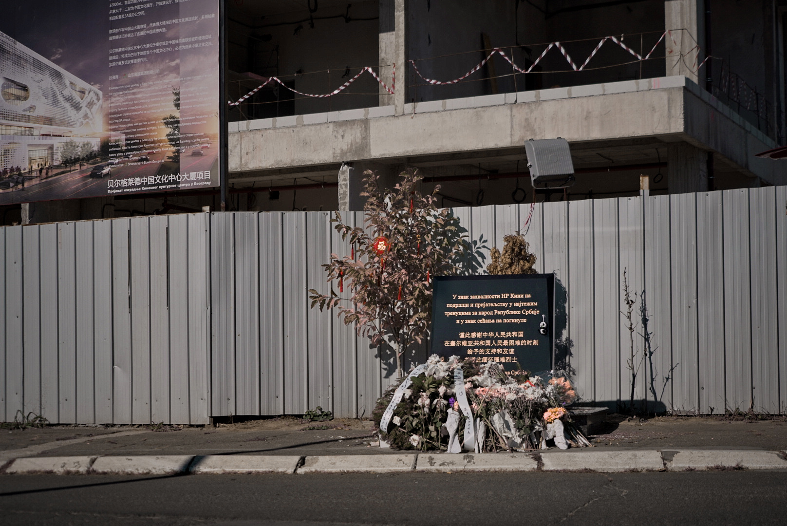 绿城南斯拉夫留学人物志吴少堃：想念主教练卡罗舍维奇