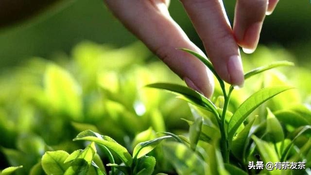 幽默笑话大全笑到肚子疼小朋友,幽默笑话大全笑到肚子疼孩子