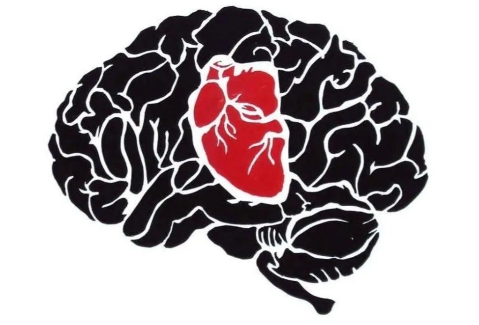 心血管和脑血管是一回事吗,心血管疾病和脑血管喝什么药预防