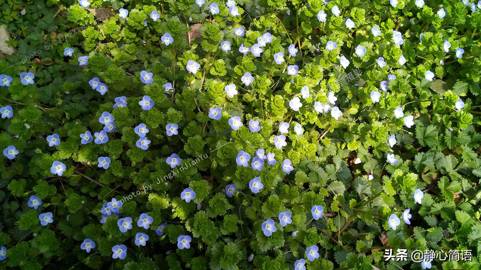 漫步三月春暖花开,三月是春暖花开的时节