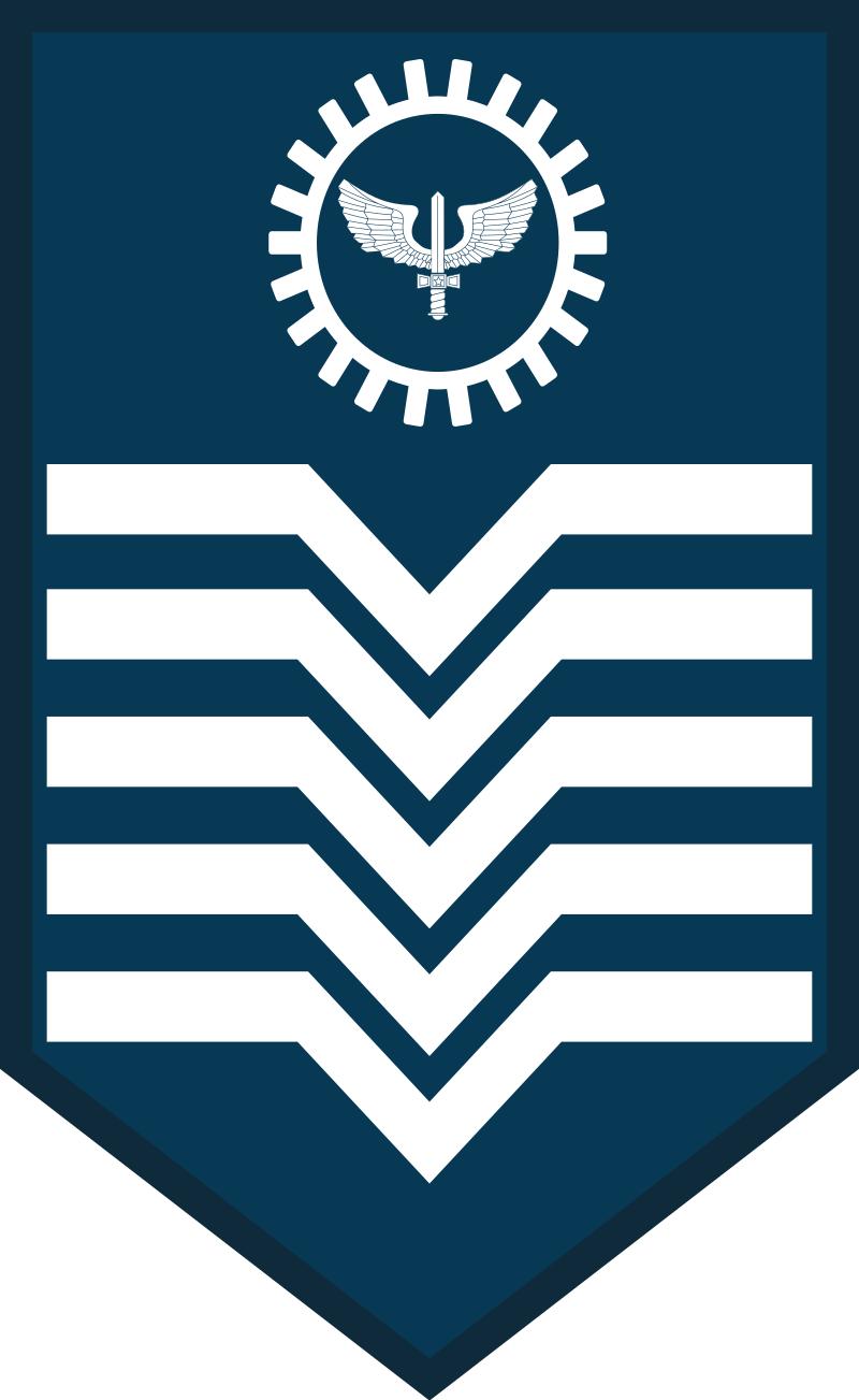 巴西军队标志,巴西海军军衔