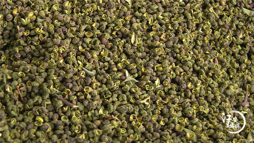 江安县阳春镇凤凰村：漫山遍野花椒香为民铺就致富路