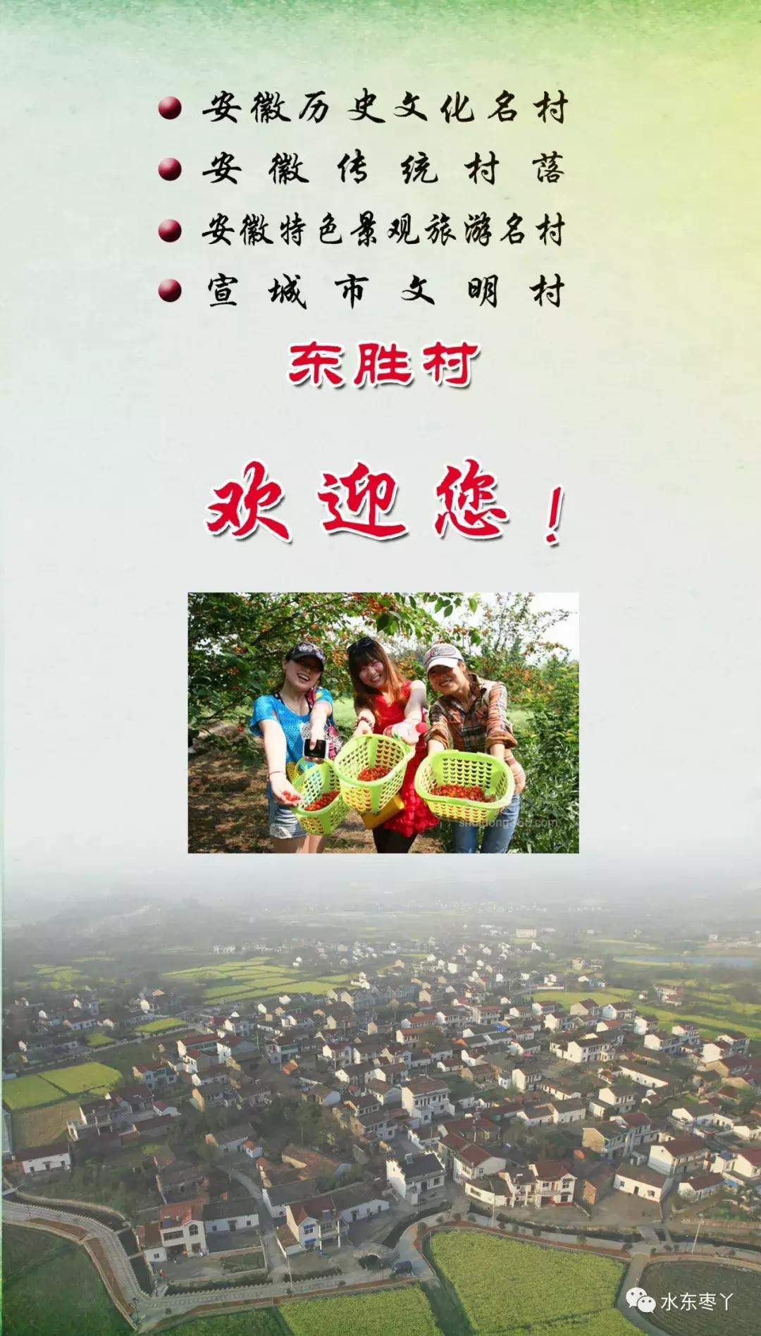 宣城本地现在还有樱桃采摘吗,宣城水东樱桃采摘