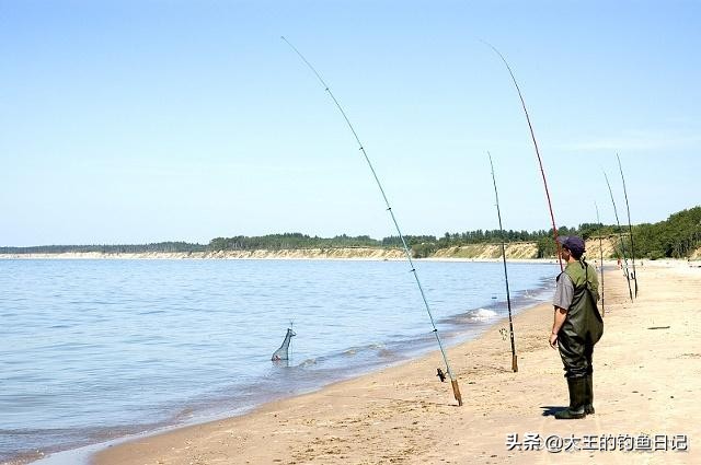 海竿钓大鱼最有效的方法,海竿钓大鱼技巧和方法图解