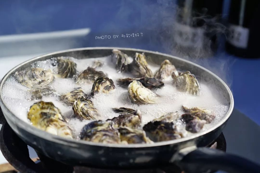 去哪里旅游可以看南极企鹅,旅游攻略南极看企鹅