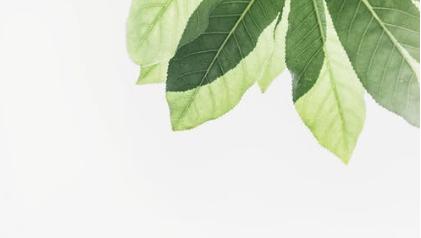 英语表语从句讲解,英语表语从句的类型与用法