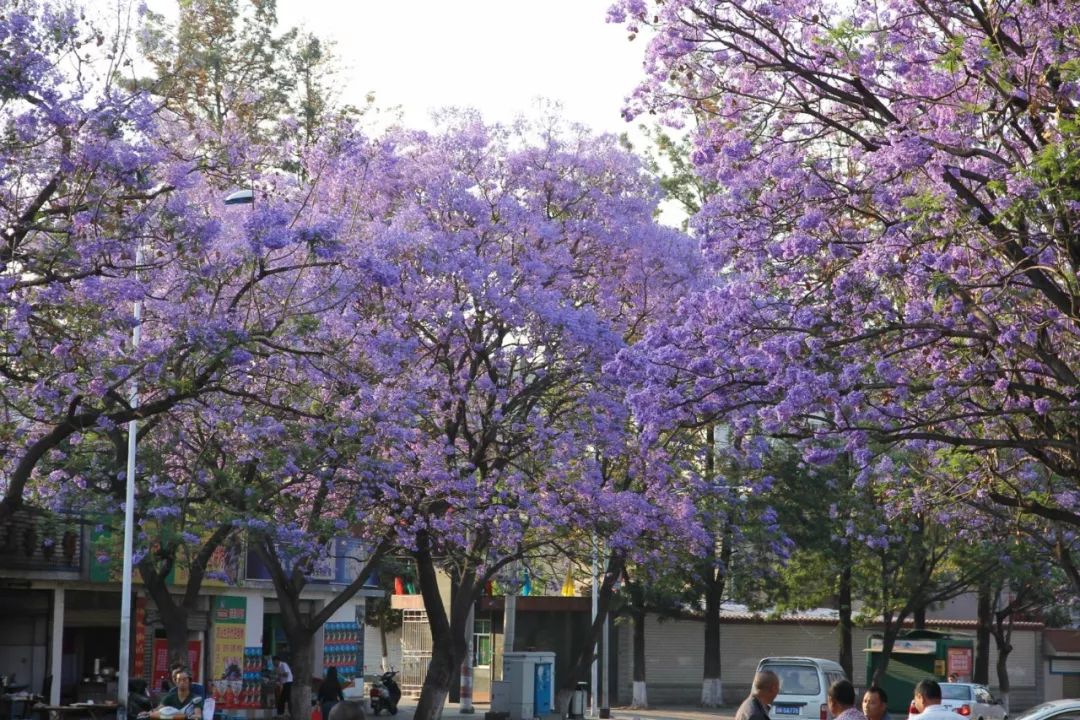 五一北京周边自驾游小众旅游地,2021五一亲子游推荐小众