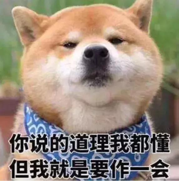 年营业额200亿的廉价批发市场,代购手里一半的假包都来自这里