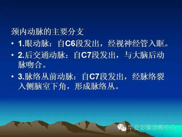小脑血管解剖分段,脑血管影像解剖讲解
