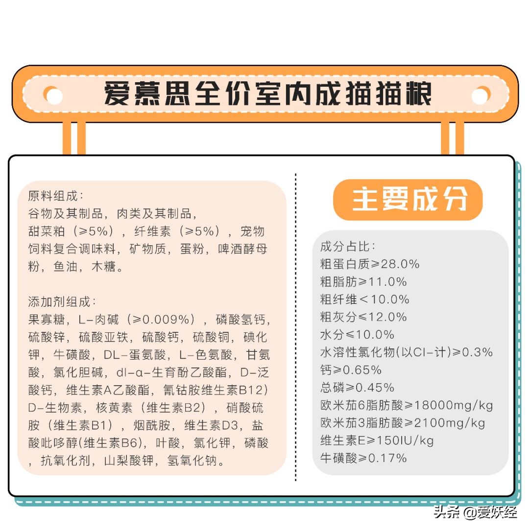 铲屎官减肥瘦身,吐毛球的铲屎官