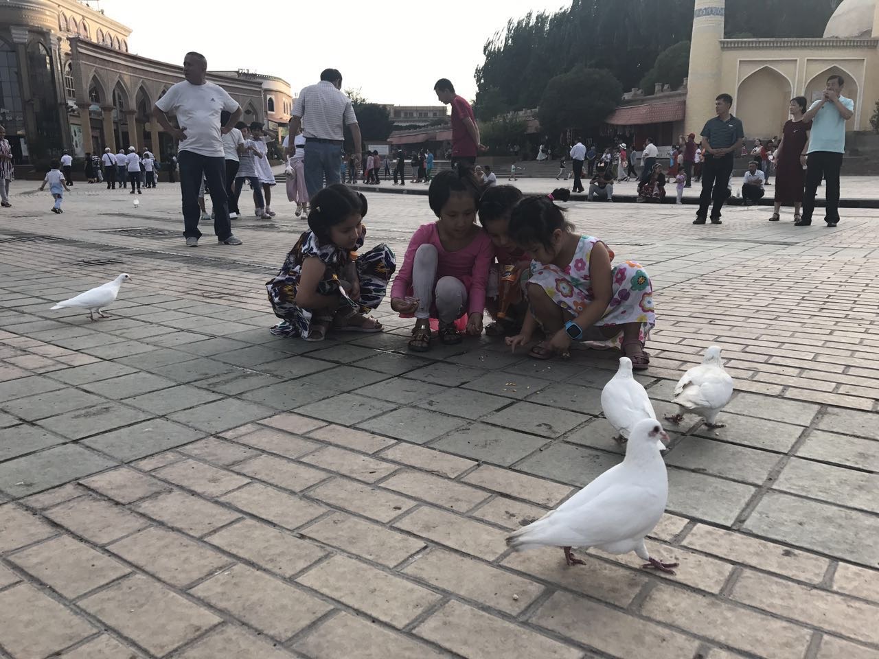 一家三口游西藏新疆,一家三口新疆旅游视频