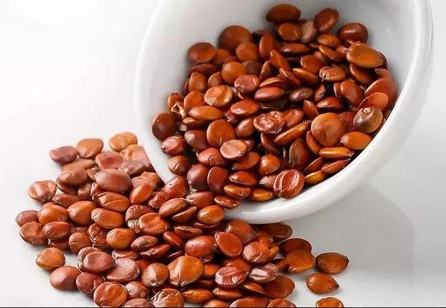 失眠多梦？口感舌燥？想要安定？那就来条酸枣仁茯苓膏吧