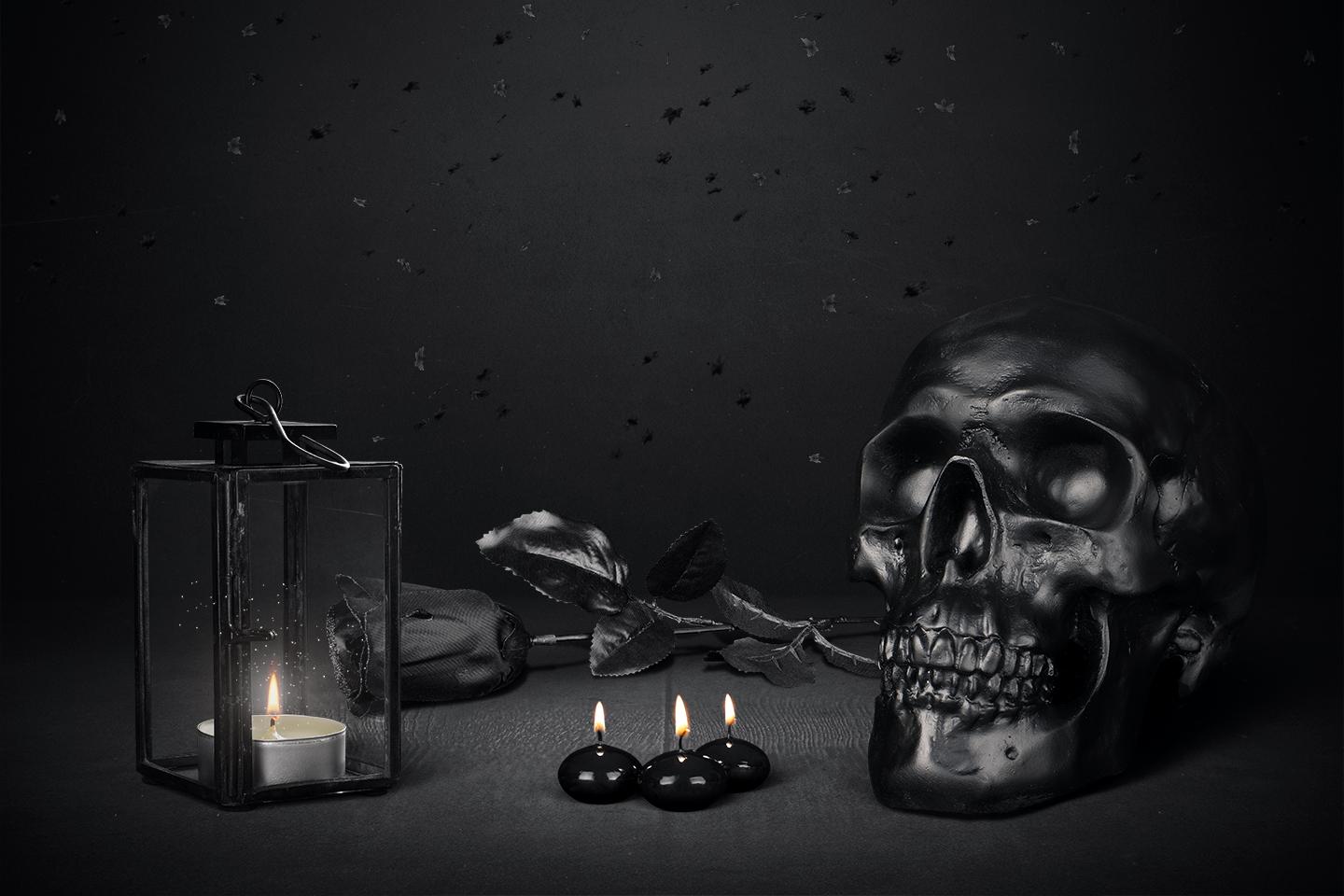 人与狗的冲突事件,人与狗之间冲突