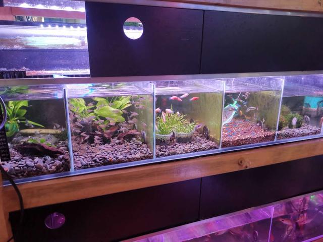 不贪小便宜能上当吗,不贪便宜不会上当受骗