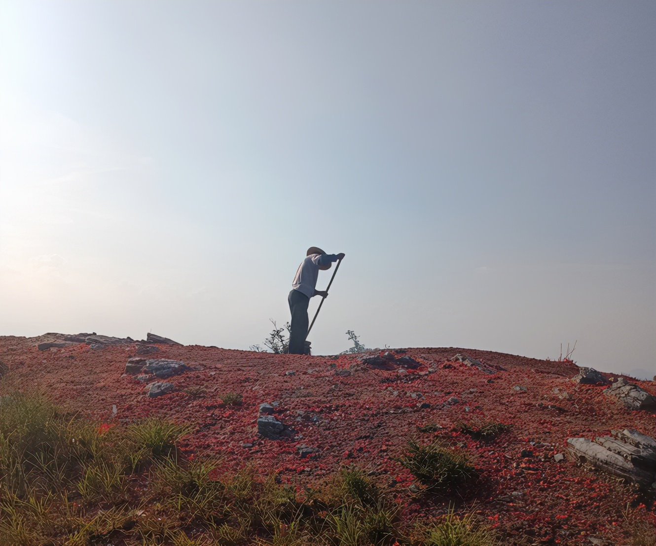 冈仁波齐后半段好走不,冈仁波齐不去有遗憾吗