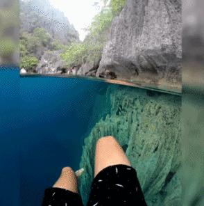 搞笑视频,搞笑动图gif猫咪