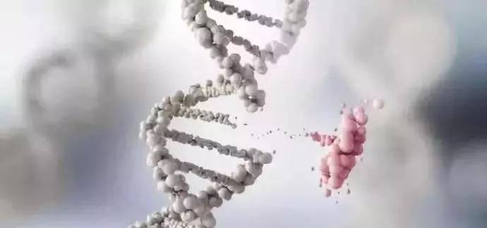 比香烟更容易致癌的食物有哪些 (比香烟致癌的食物)