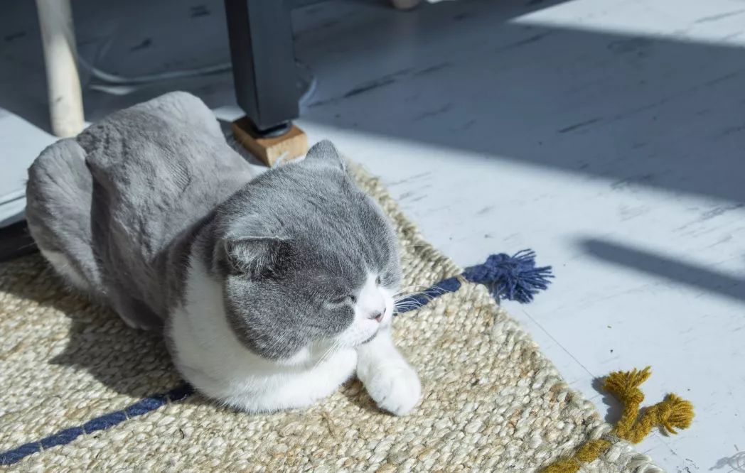 南山科技园有什么玩的,深圳南山科技园游玩