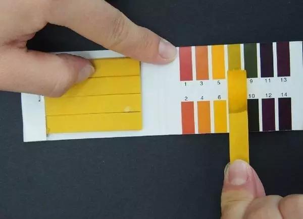 科颜氏金盏花爽肤水有几个版本,科颜氏金盏花爽肤水500ml最低价