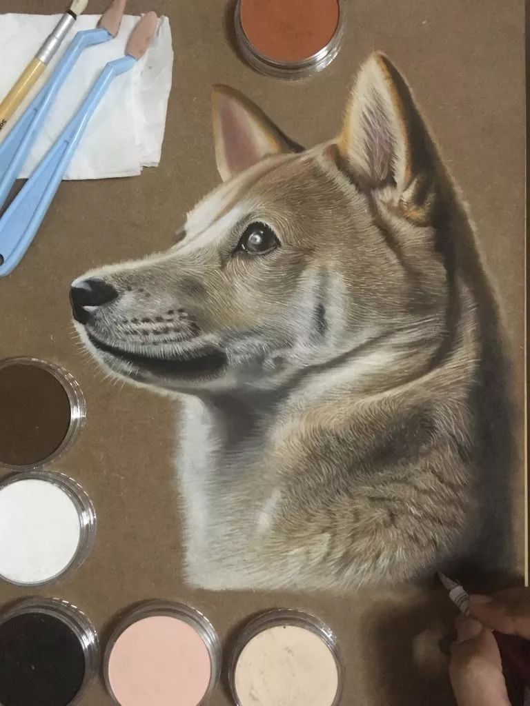 3d立体画写实彩铅,超写实彩铅手绘细腻的让人咋舌