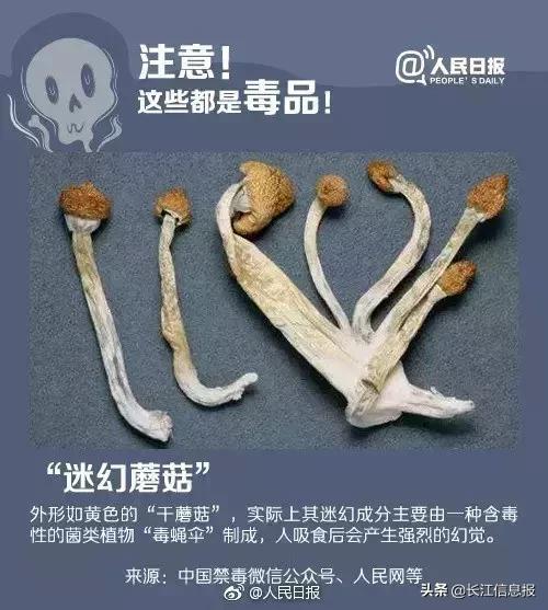 新型毒品的服用过的反应,新型毒品吃了会变成丧尸是真的吗