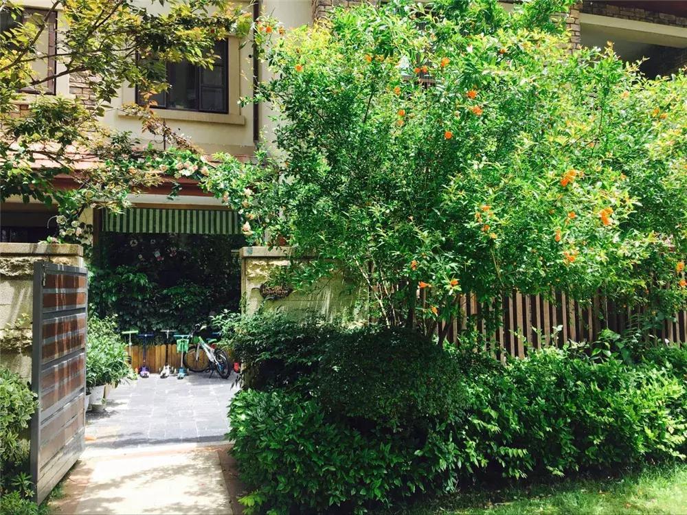 武汉最贵国际幼儿园,武汉最贵的国际幼儿园