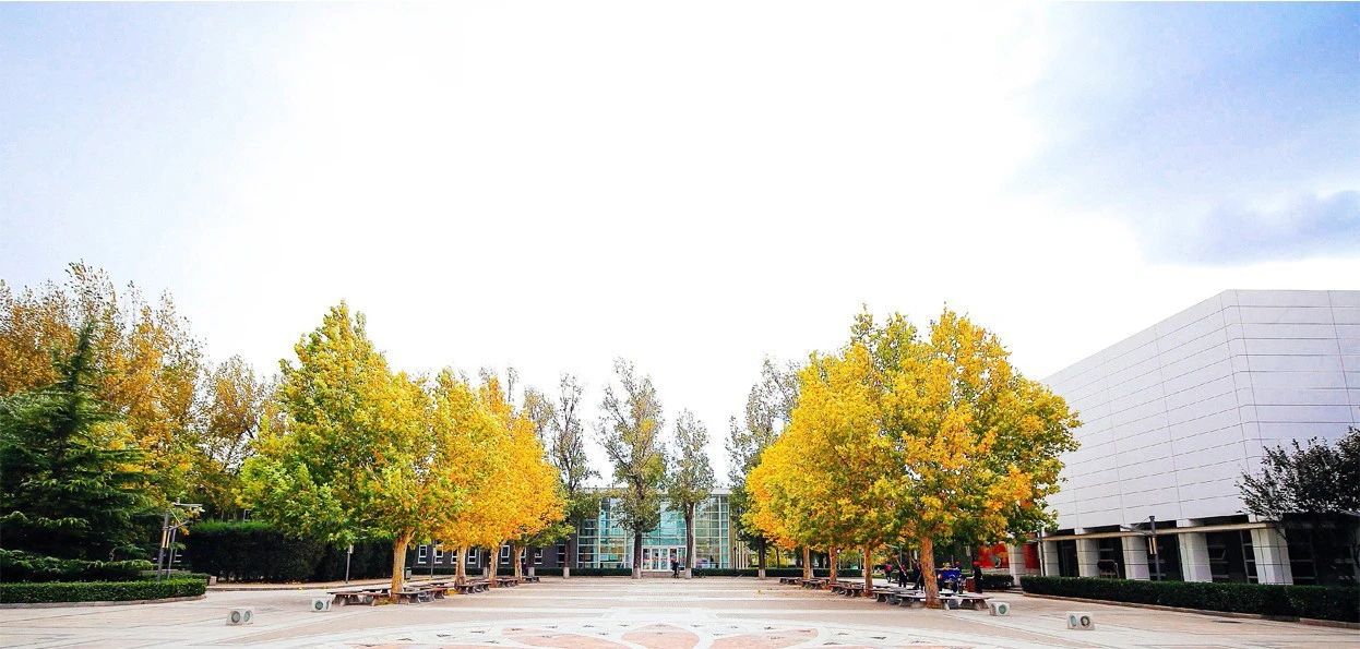 北京小升初那些事,北京小升初11所热门民办校