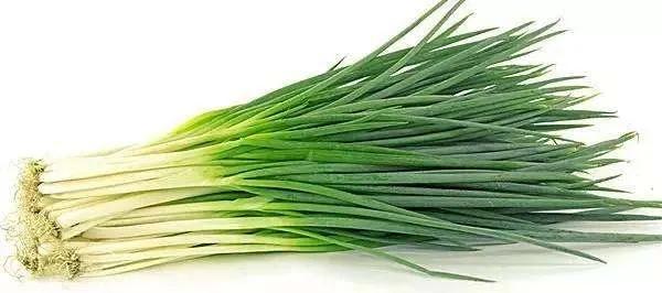 中国葱类大全,哪个品种葱产量最高