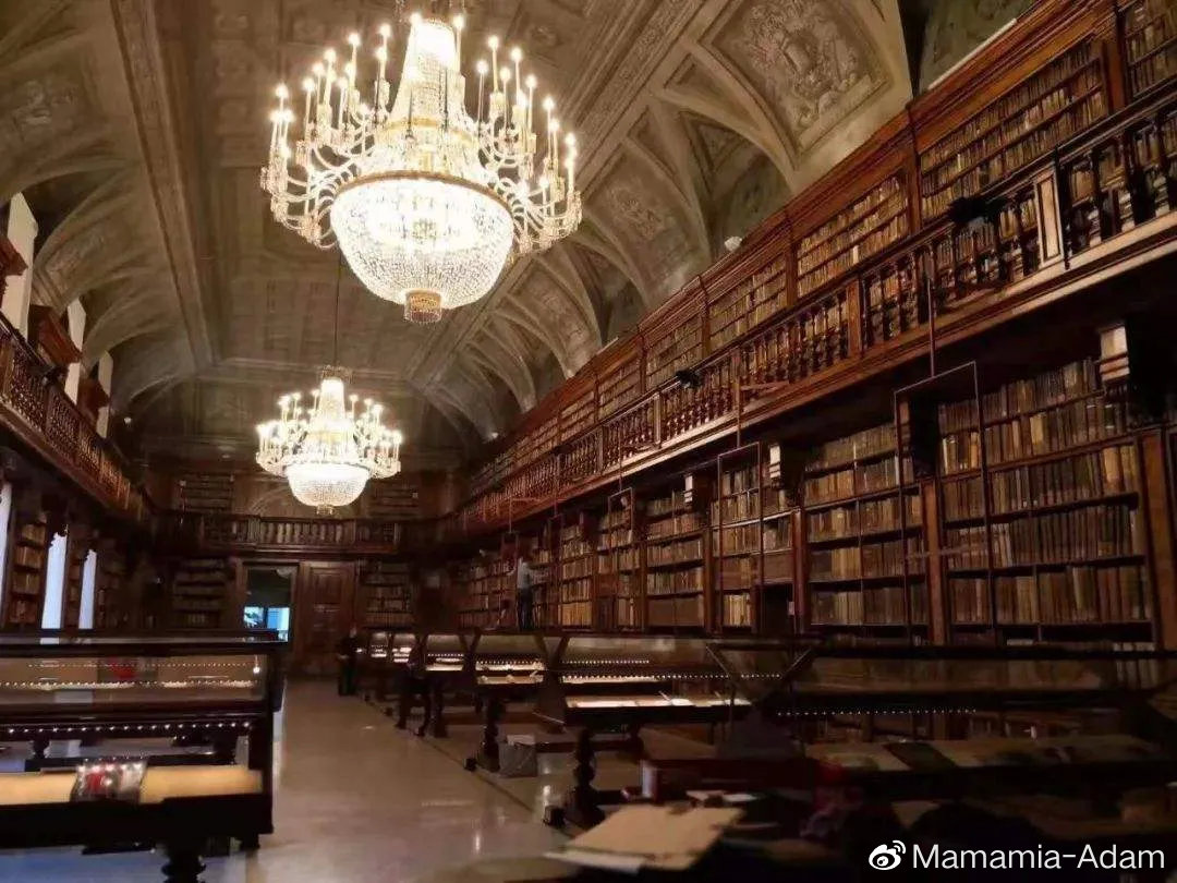 去意大利打工需要什么条件,意大利留学小技巧男