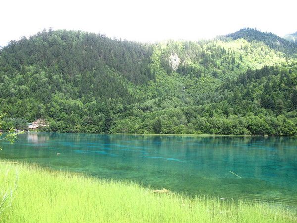 成都九寨沟几月份去好,九寨沟和稻城几月份去