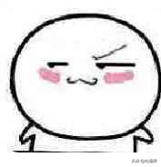 哪个保险公司的客服体验最好？