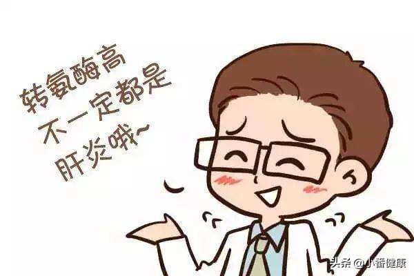 乙肝大三阳肝功能转氨酶高怎么办,感冒会引起谷丙转氨酶高