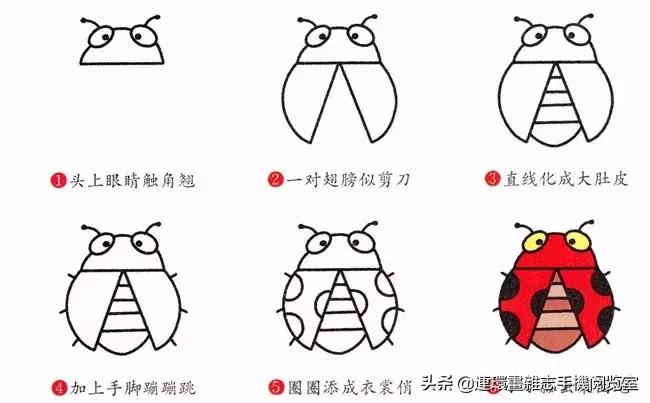 可爱的小昆虫简笔画,我认识的昆虫简笔画