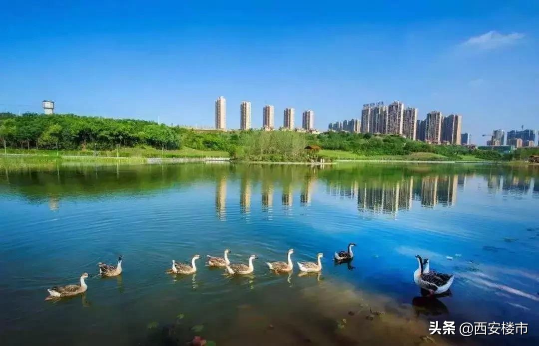 浐灞现今发展如何,浐灞未来五年发展规划