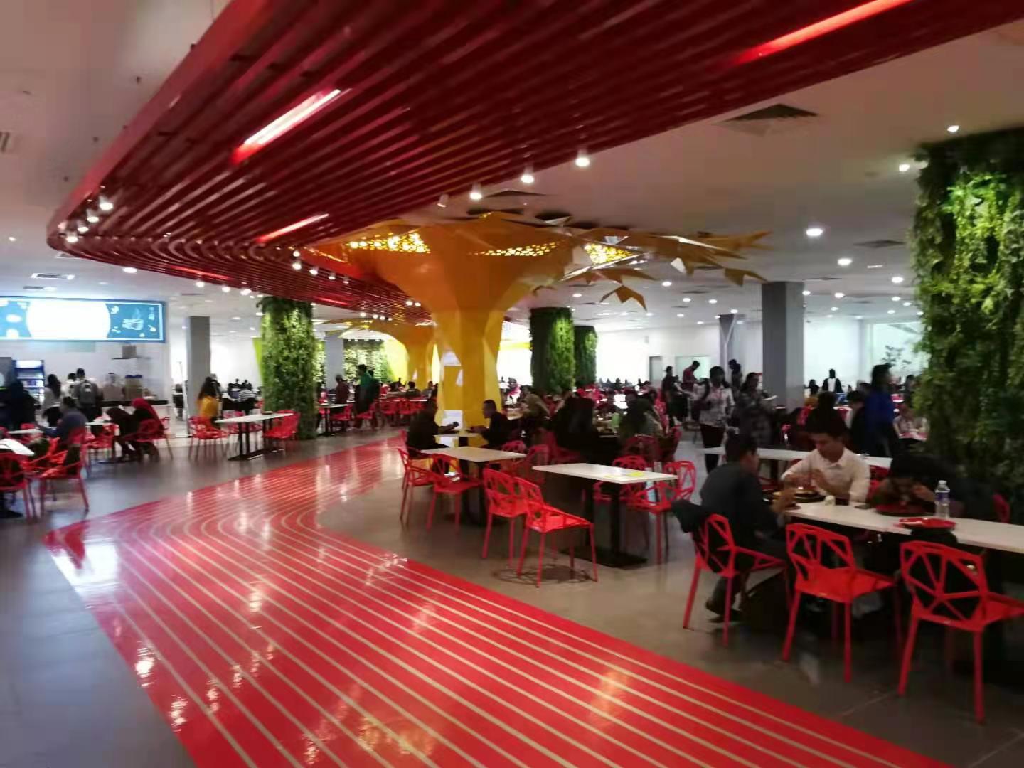 商丘医专康复治疗学专业,商丘医学高等专科学校运动康复