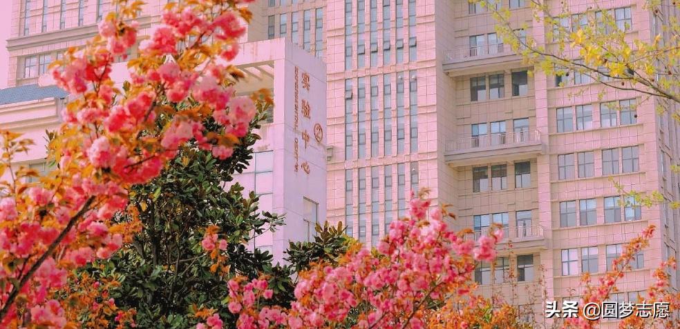 山东有专科的公办本科院校有哪些,山东公办本科院校招专科的有哪些