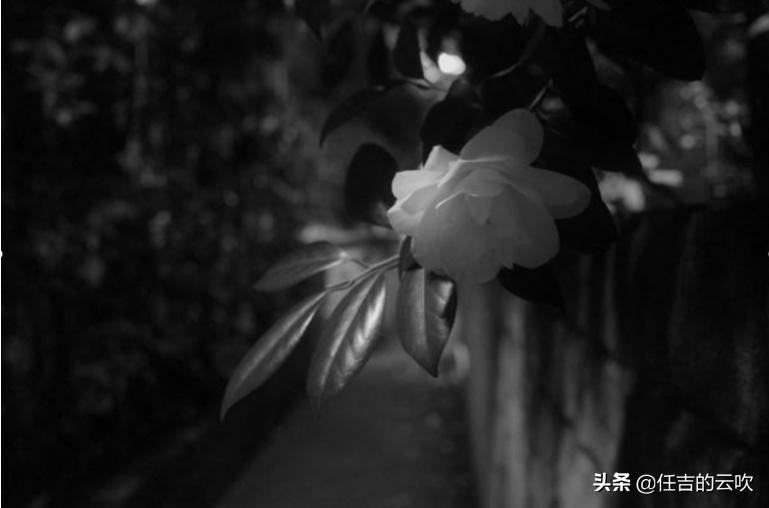 外网测评top1,理光gr测评