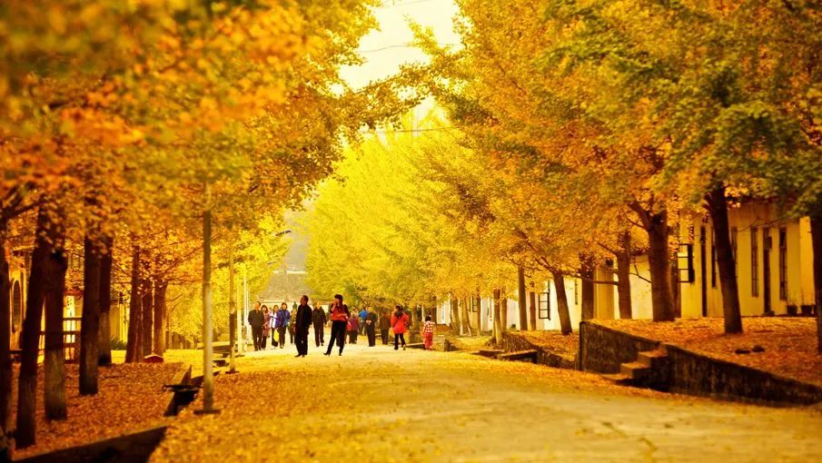 11-12月十大必去旅行地,12月高性价比的旅游地