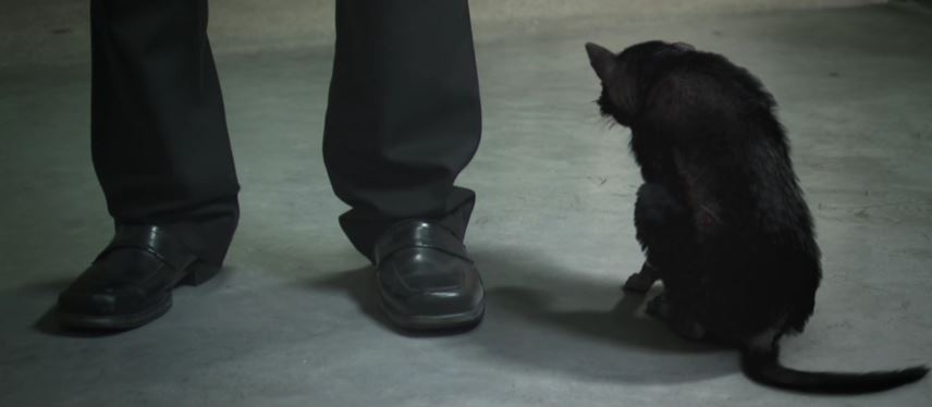 泰国十大恐怖电影解说,泰国十大降头恐怖电影