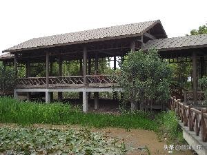 阿拉宁波特色菜,阿拉宁波潮玩