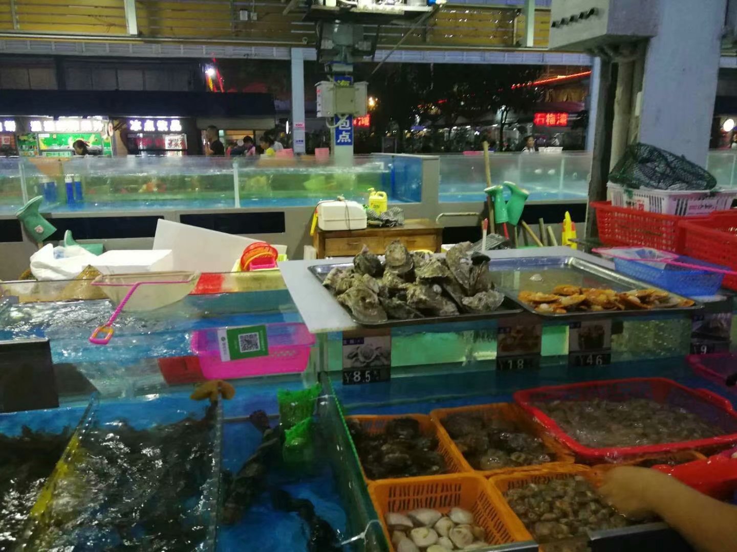 一家人海口旅游攻略,海口一家三口哪里好玩