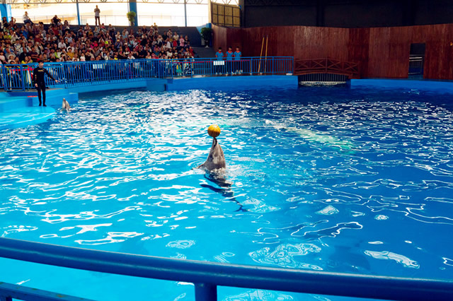 昆明有什么好玩的景点推荐一下,昆明有些什么好玩的景点推荐一下