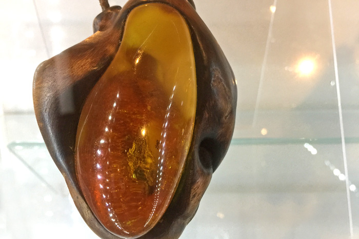 欧洲波兰琥珀,波兰琥珀特产