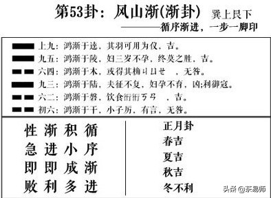 茶易师,易经大师讲茶叶