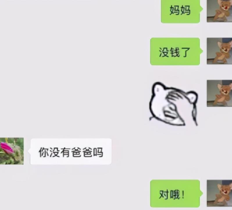 在山上遇到什么野果,在山上遇到哪些野菜