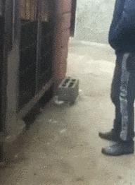 教科书式搞笑gif,搞笑gif图看得我也想去学跳舞了