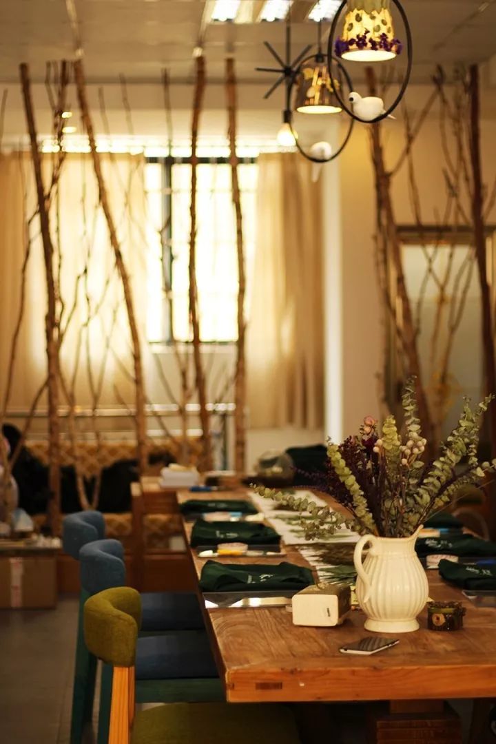 她31岁放弃北漂，回归自然，用枯枝败叶，打造了一个梦幻森林