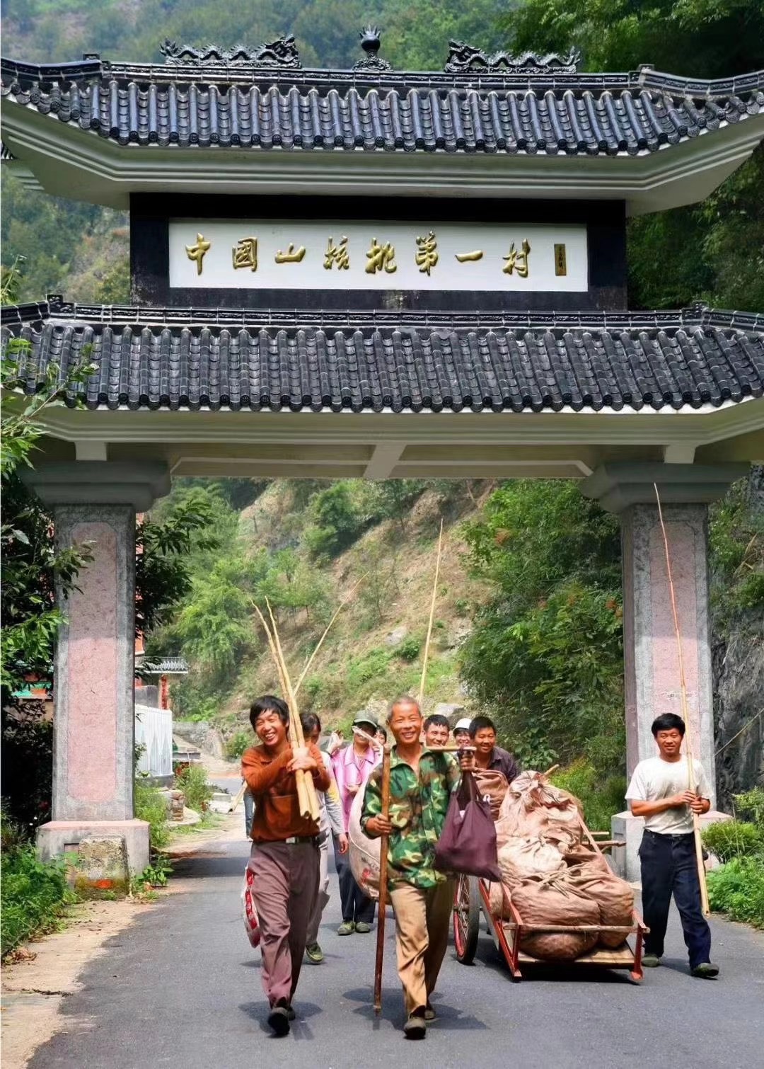 临安山野小核桃,临安高山山核桃